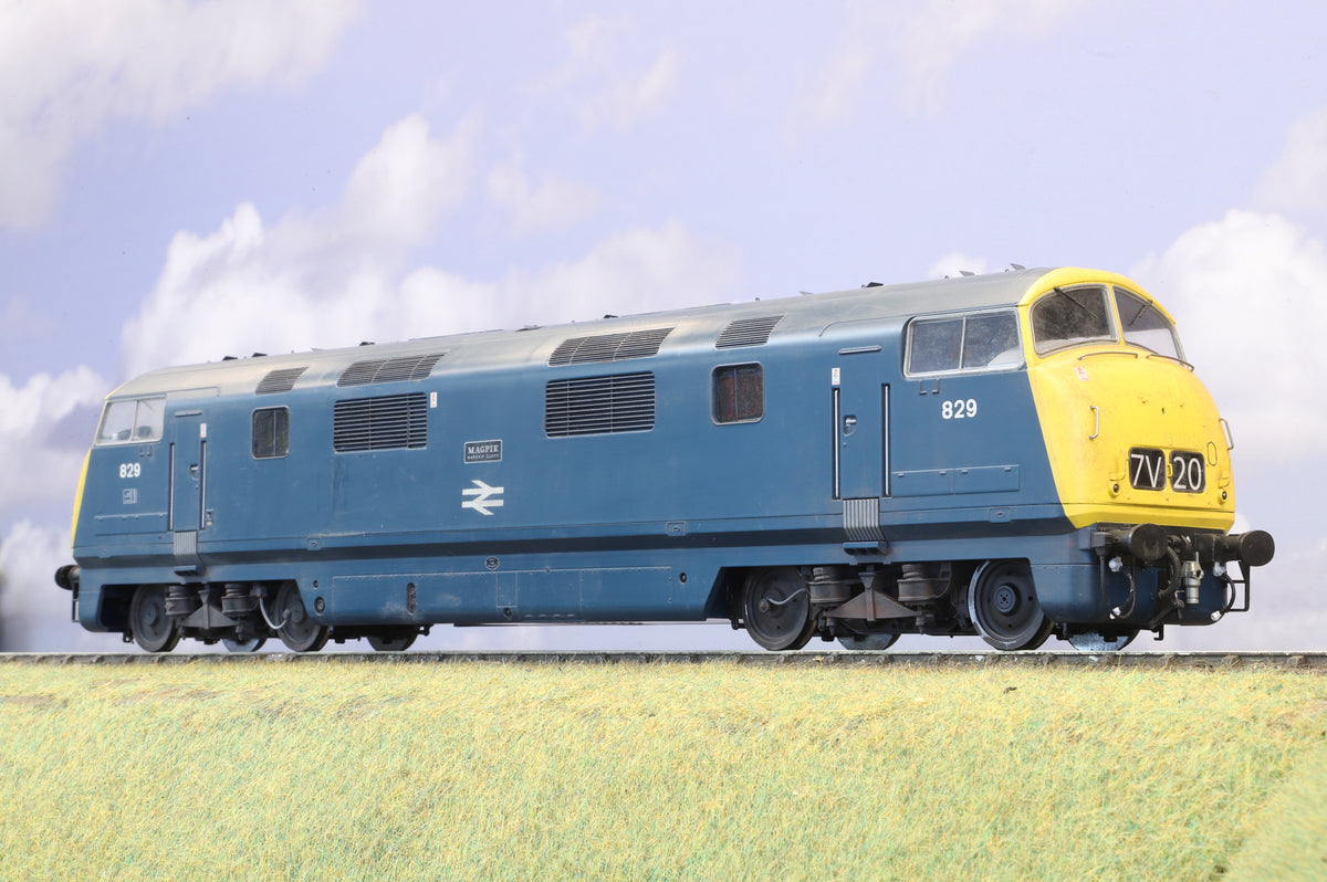 Heljan Finescale O Gauge Class 42 Warship No. 829 'Magpie', BR Blue FYE, Weathered