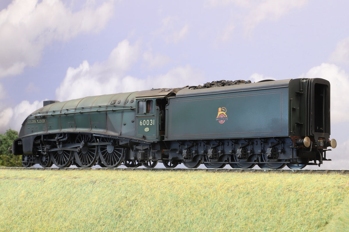 Golden Age Models Finescale O Gauge Gresley Class A4 No. 60031 'Golden Plover', Weathered, DCC Sound & Smoke