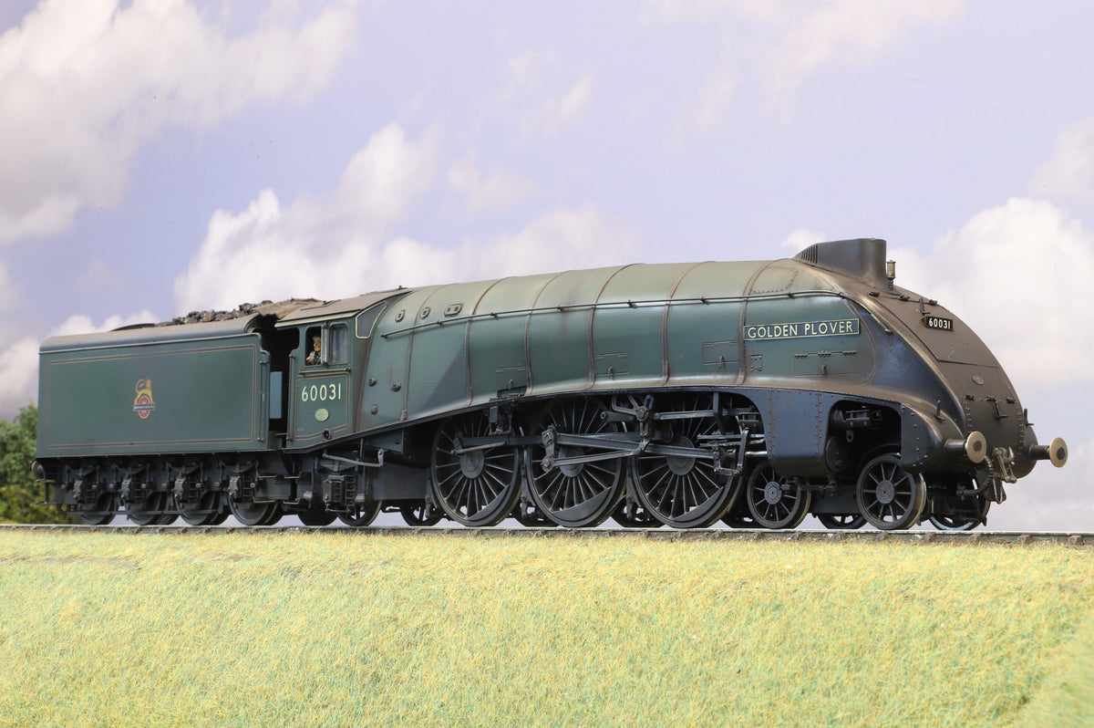 Golden Age Models Finescale O Gauge Gresley Class A4 No. 60031 'Golden Plover', Weathered, DCC Sound & Smoke
