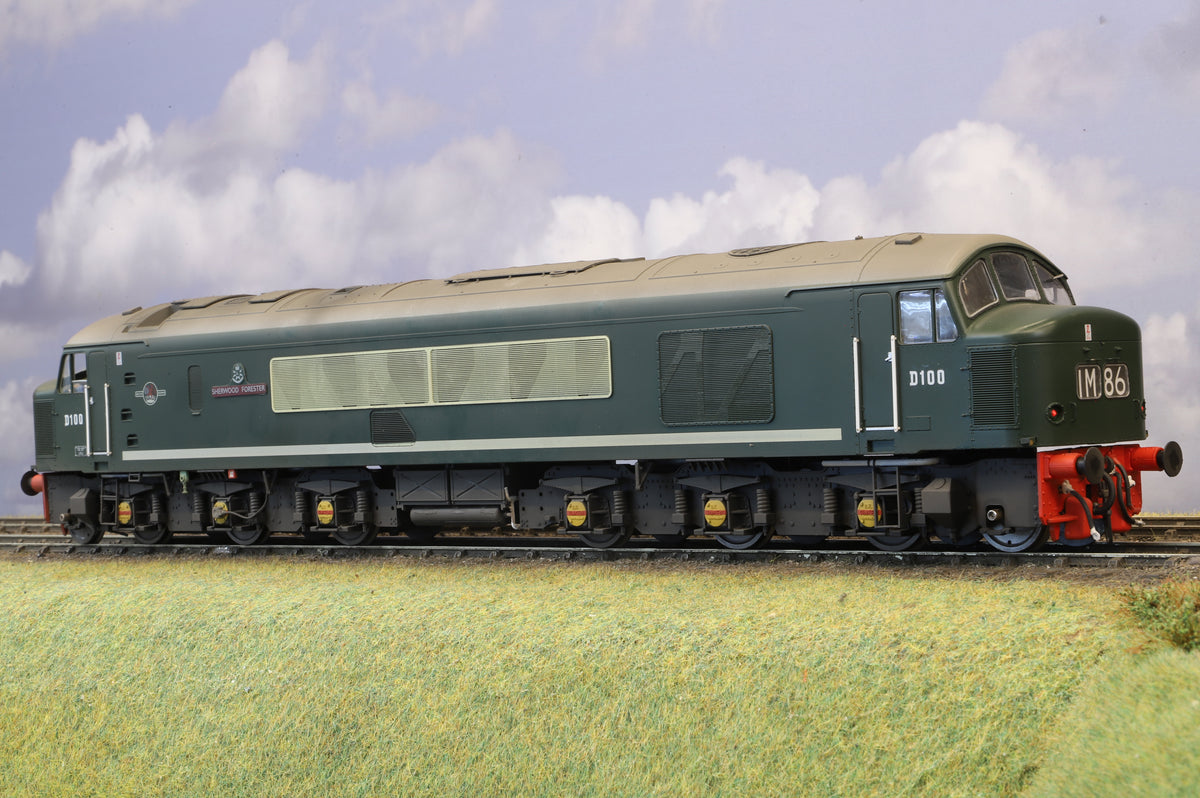 Heljan Finescale O Gauge Class 45 Peak D100, BR Green DCC Sound (Pro-Weathered & Numbered)