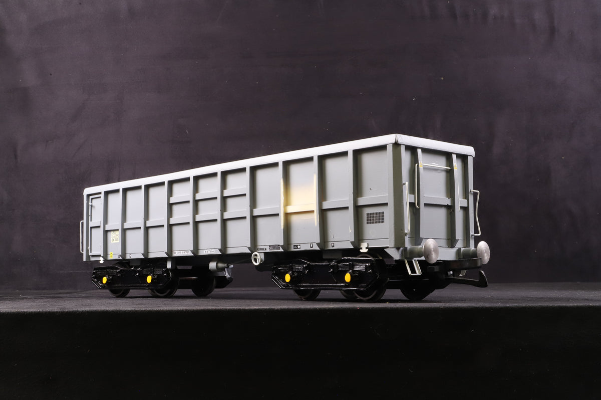 Gauge 1 (10mm) Scratch-Built Foster Yeoman JYA Bogie Hoppers (Pair)